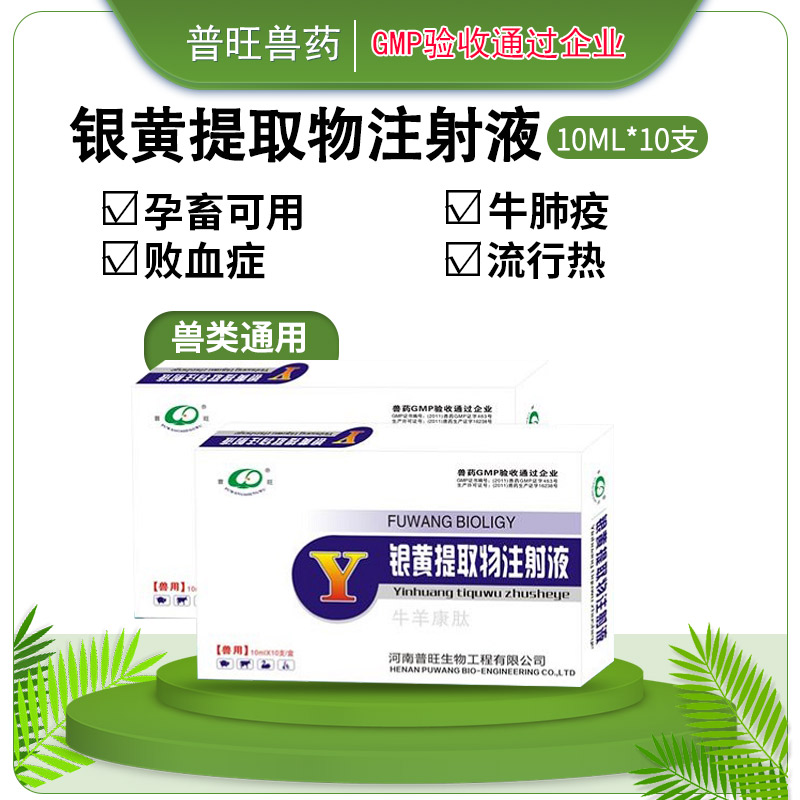 銀黃提取物注射液